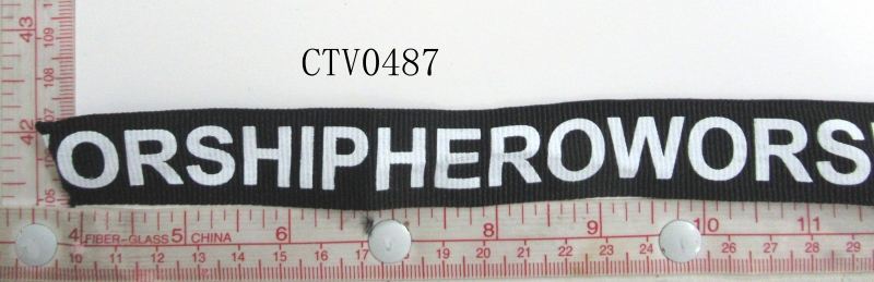 CTV0487