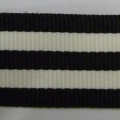 CTV0216