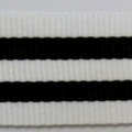 CTV0219