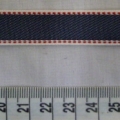 CTV0275