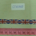 CTV0300