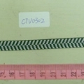 CTV0302