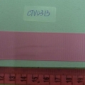 CTV0313