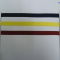 CTV0355