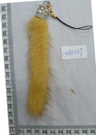 CWA0137
