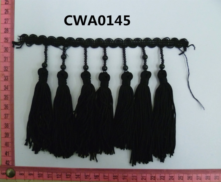 CWA0145