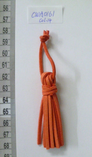 CWA0161