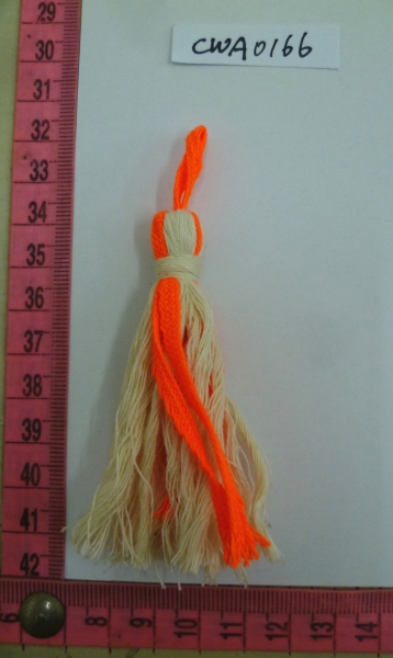 CWA0166