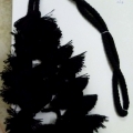 CWA0116col.2