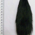 CWA0136