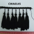 CWA0145