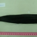 CWA0151