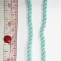 CWA0196