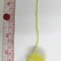 CWA0204