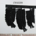 CWA0209