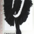 CWA0210
