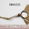 CWA0220