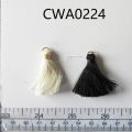 CWA0224