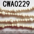 CWA0229