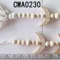 CWA0230