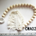 CWA0243