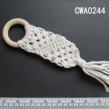 CWA0244