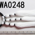 CWA0248