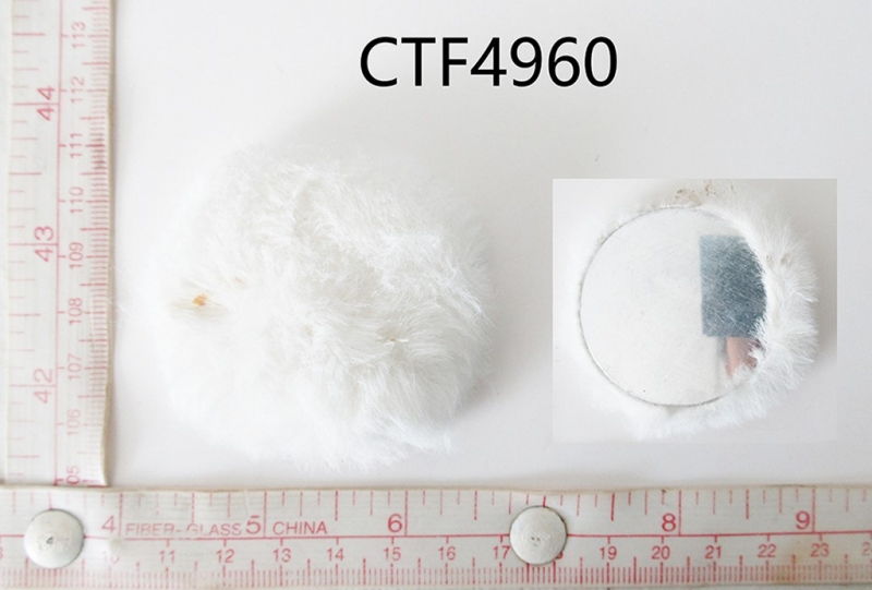 CTF4960