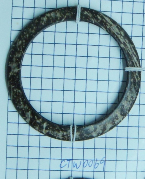 CTW0069