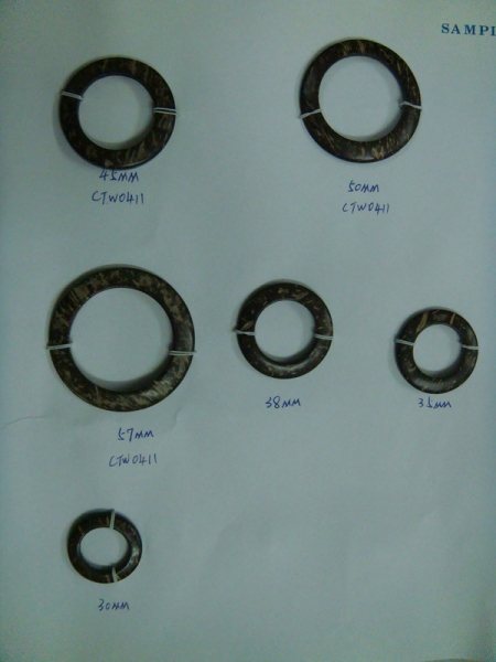 CTW0411