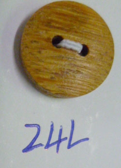 CTW1031