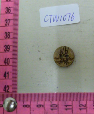 CTW1076