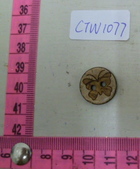 CTW1077