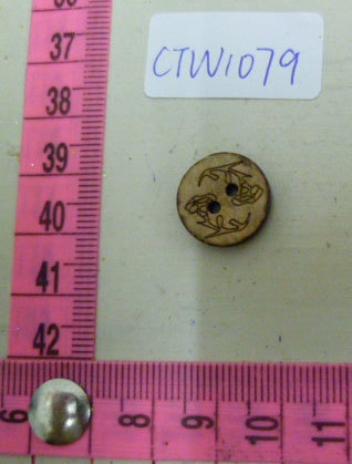 CTW1079