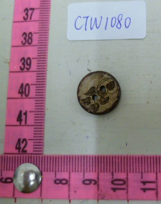 CTW1080