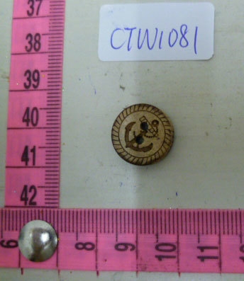 CTW1081
