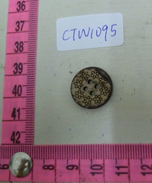 CTW1095