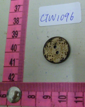 CTW1096