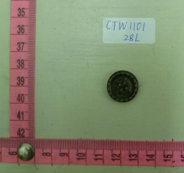 CTW1101