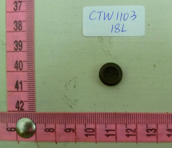CTW1103
