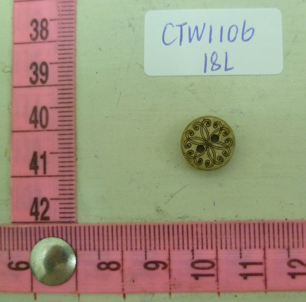 CTW1106