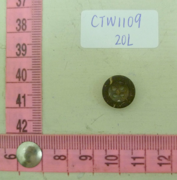 CTW1109