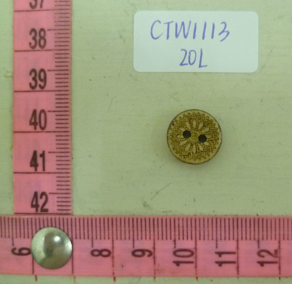 CTW1113
