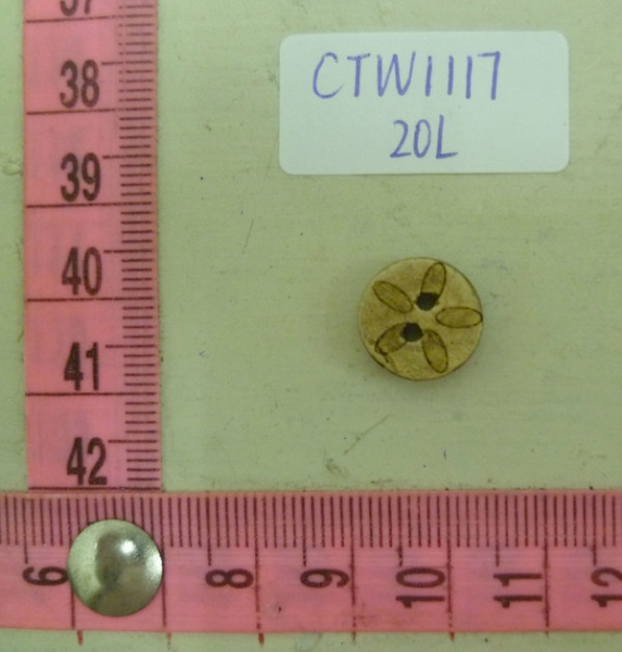 CTW1117