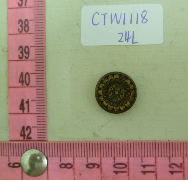CTW1118