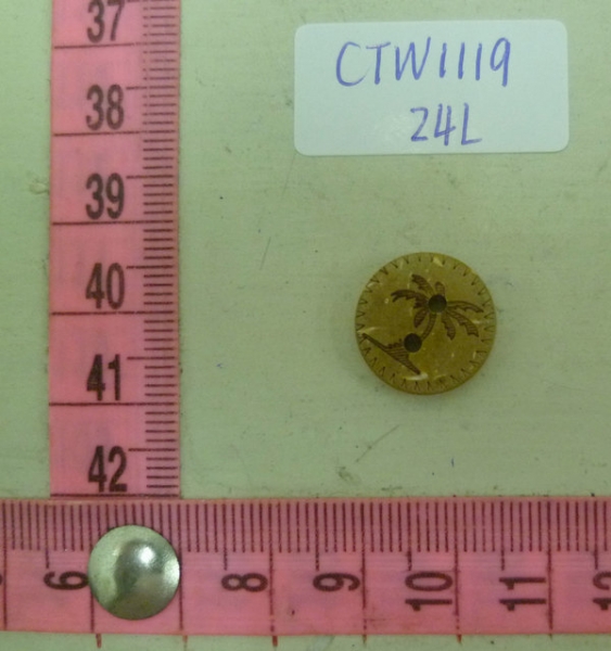 CTW1119