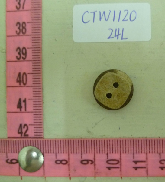 CTW1120