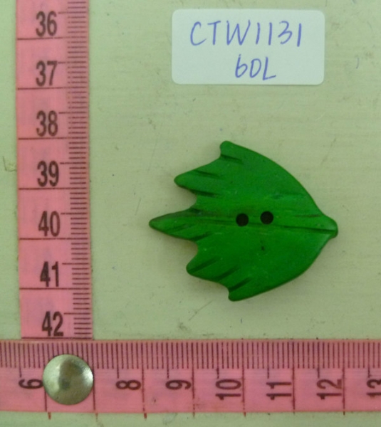 CTW1131