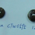 CTW0595