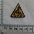 CTW1044